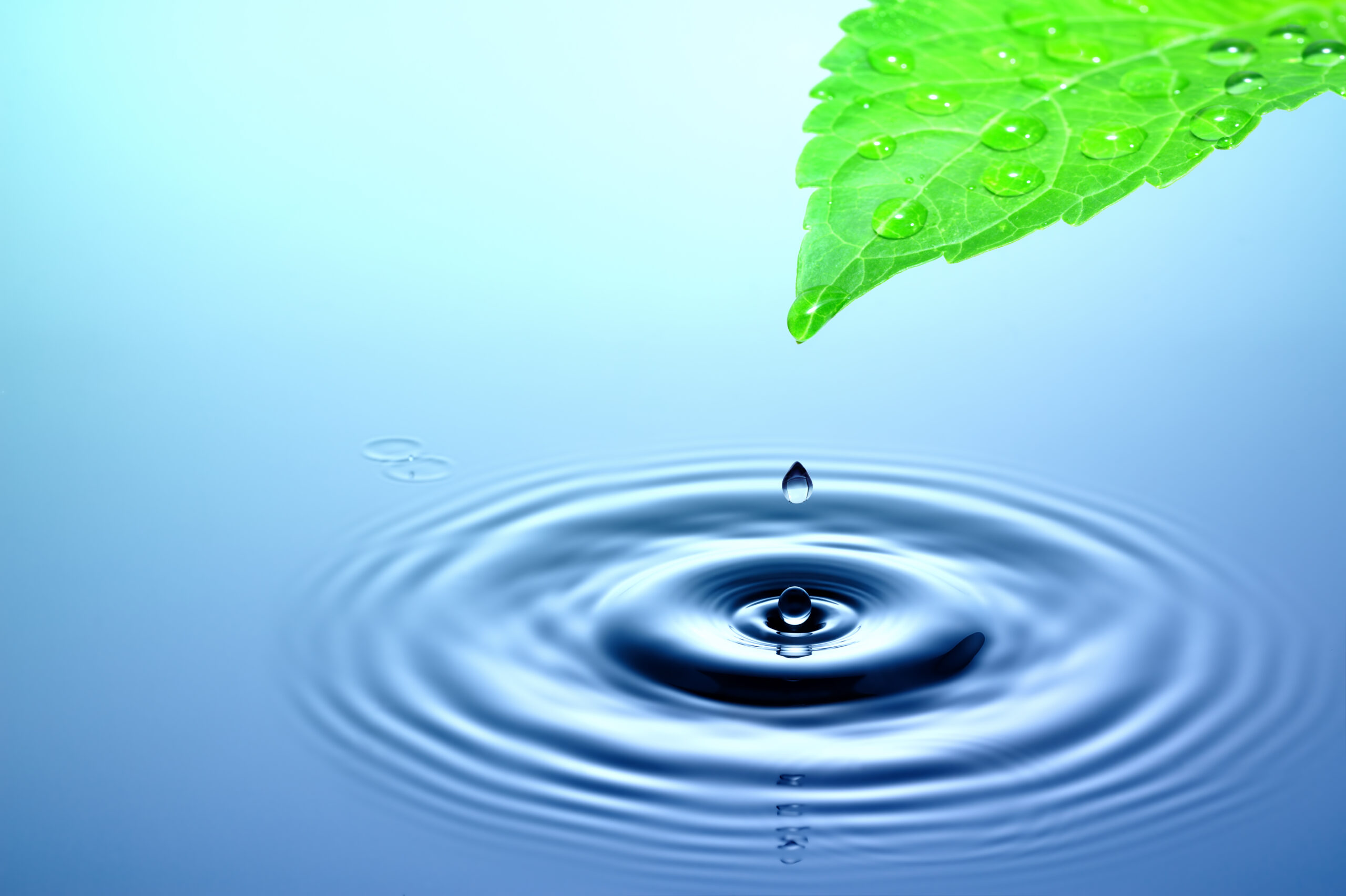 Drop,Of,Rain,Falling,From,Green,Leaf,To,Smooth,Water